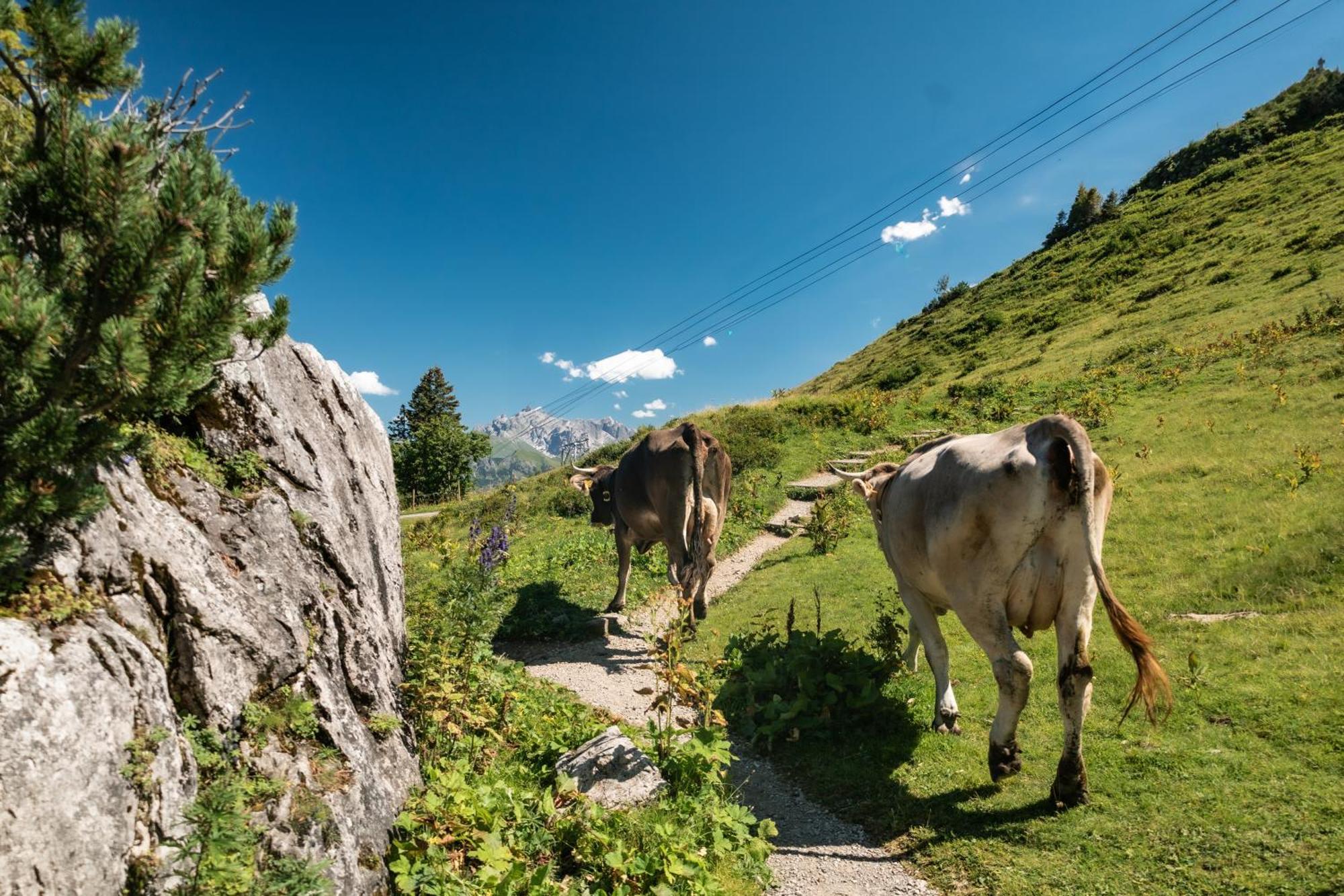 Ferienhaus Geiger Oberstdorf Bagian luar foto